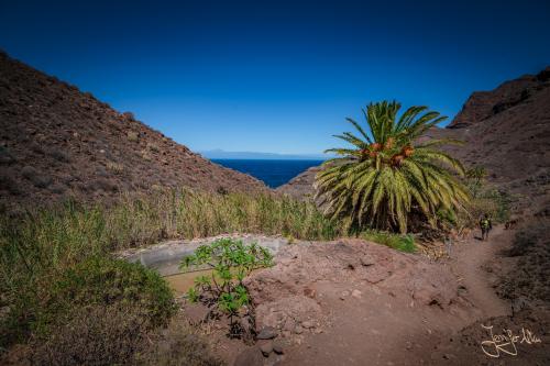 Eine Oase mit vereinzelten Häusern mitten im Nirgendwo