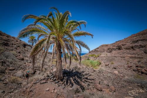 Wanderung von Tasartico zum Playa Güi Güi