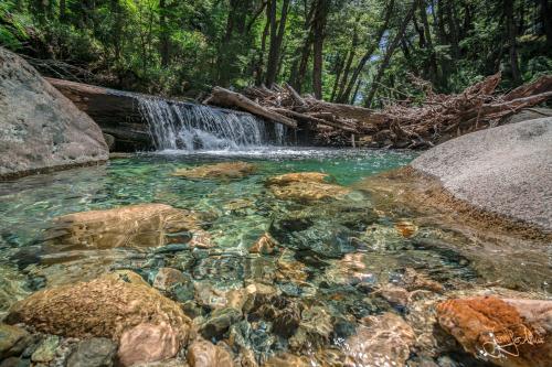 5 Tage Trekking-Tour bei Bariloche - Tag 1: Von Colonia Suiza nach Laguna Negra