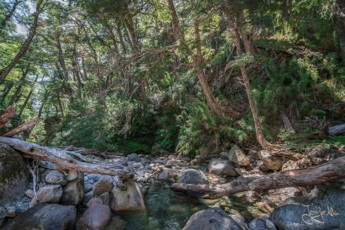5 Tage Trekking-Tour bei Bariloche - Tag 1: Von Colonia Suiza nach Laguna Negra