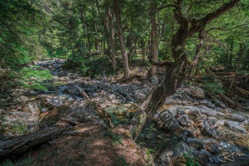 5 Tage Trekking-Tour bei Bariloche - Tag 1: Von Colonia Suiza nach Laguna Negra