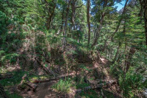 5 Tage Trekking-Tour bei Bariloche - Tag 1: Von Colonia Suiza nach Laguna Negra