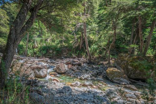 5 Tage Trekking-Tour bei Bariloche - Tag 1: Von Colonia Suiza nach Laguna Negra