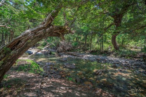 5 Tage Trekking-Tour bei Bariloche - Tag 1: Von Colonia Suiza nach Laguna Negra