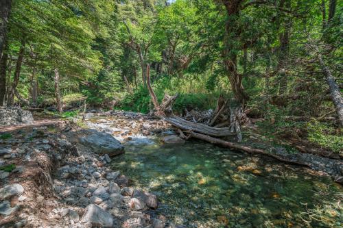 5 Tage Trekking-Tour bei Bariloche - Tag 1: Von Colonia Suiza nach Laguna Negra