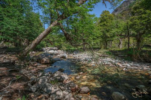 5 Tage Trekking-Tour bei Bariloche - Tag 1: Von Colonia Suiza nach Laguna Negra