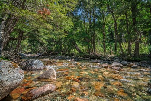 5 Tage Trekking-Tour bei Bariloche - Tag 1: Von Colonia Suiza nach Laguna Negra