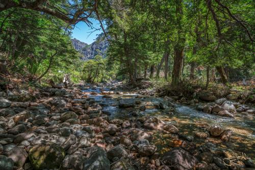 5 Tage Trekking-Tour bei Bariloche - Tag 1: Von Colonia Suiza nach Laguna Negra