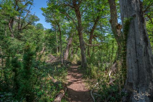 5 Tage Trekking-Tour bei Bariloche - Tag 1: Von Colonia Suiza nach Laguna Negra