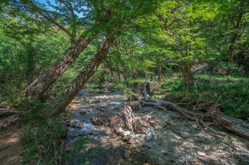 5 Tage Trekking-Tour bei Bariloche - Tag 1: Von Colonia Suiza nach Laguna Negra