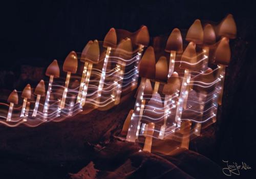 Kronach leuchtet 2018 - Durch längere Belichtungszeit, Blitzen und Bewegung der Kamera während der Aufnahme habe ich hier Lichtspuren erzeugt