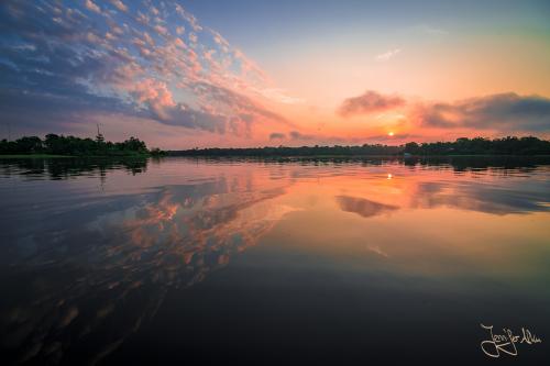 Sonnenaufgang am Amazonas Regenwald bei Manaus