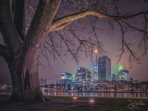 Frankfurter Skyline bei Nacht