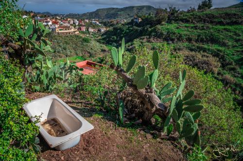 Hier wurde kurzzeitig eine alte Badewanne zur Außenbadewanne umfunkioniert...