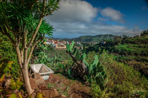 Hier wurde kurzzeitig eine alte Badewanne zur Außenbadewanne umfunkioniert...