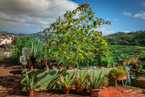 Kreativ gestalteter Außenbereich