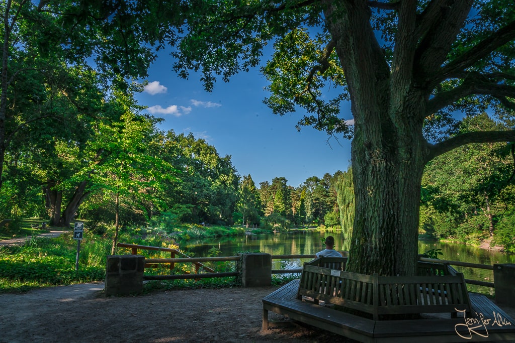 Dieses Bild zeigt eine Bank am See im Luisenhain im Hainpark Bamberg