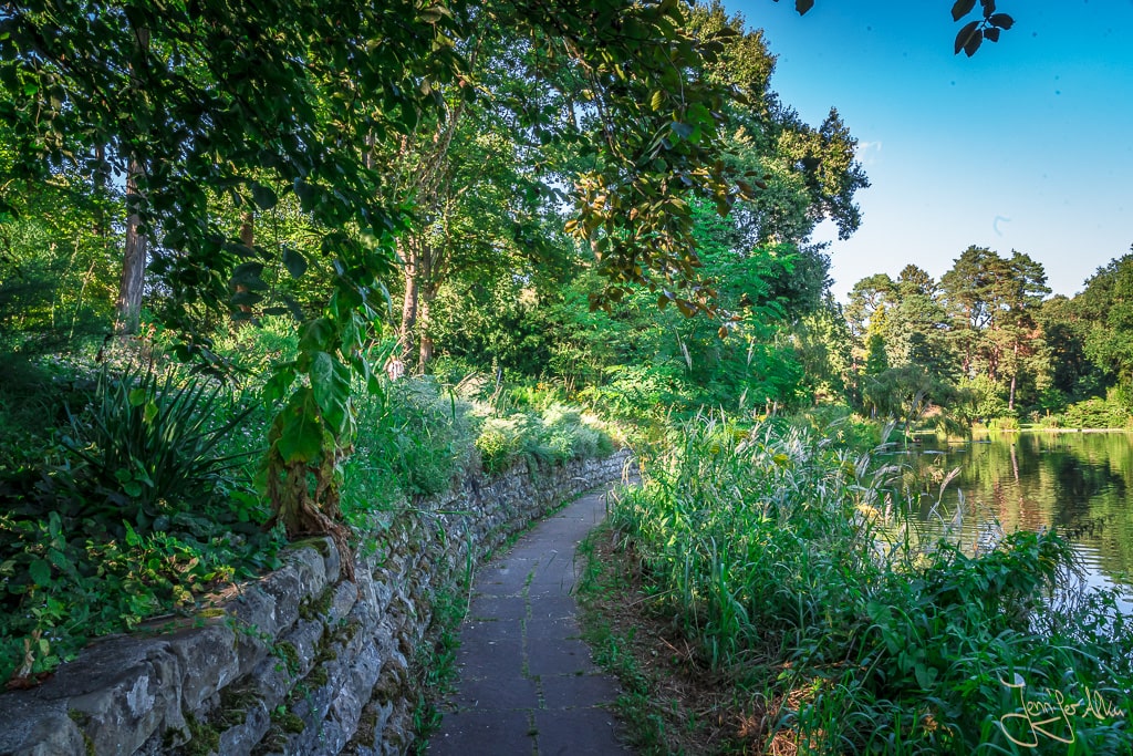 Dieses Bild zeigt den schmalen Pfad der um den See im Luisenhain / Hainpark führt und mit Blumen berankt ist