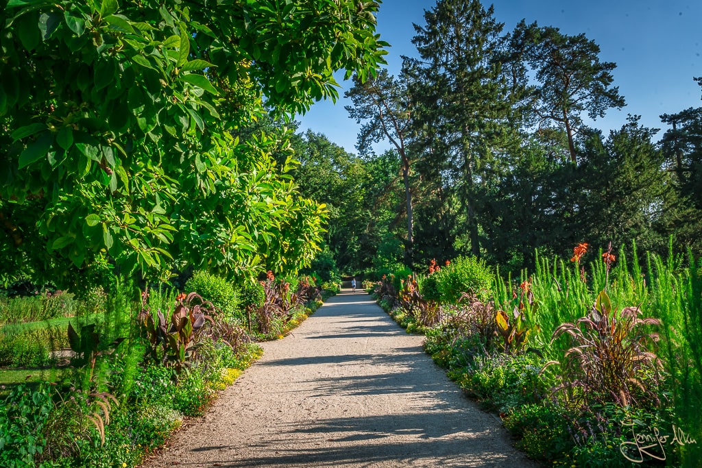 Dieses Bild zeigt den Botanischen Garten im Hainpark Bamberg