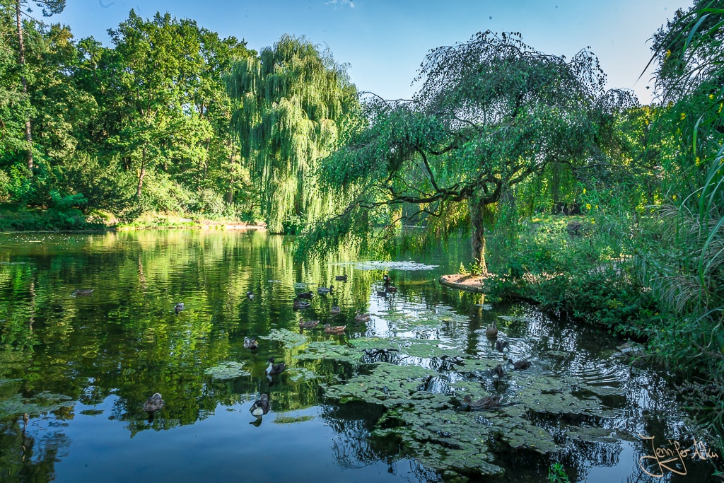 Dieses Bild ist am See im Luisenhain im Hainpark von Bamberg entstanden. 1 Tag in Bamberg – Fotos / Bilder von meinem Rundgang durch die Sehenswürdigkeiten von Bamberg