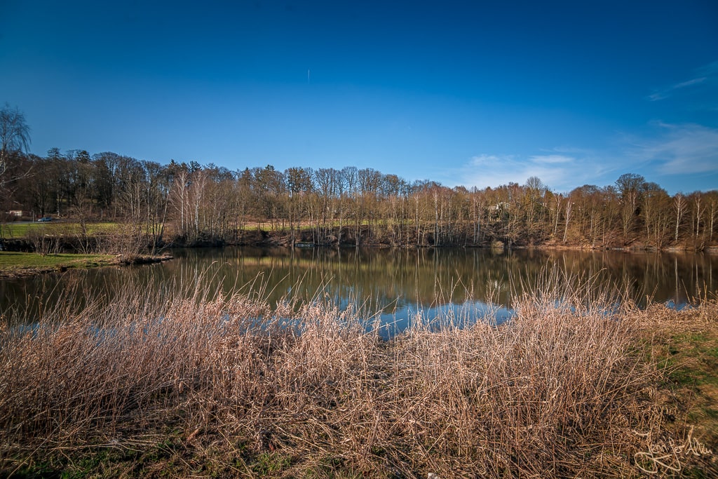 Dieses Bild zeigt den Lettenbachsee in der Stadt Hof