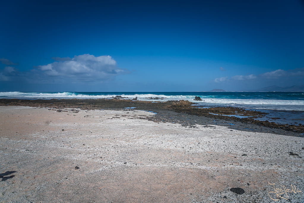 Die weißen Rhodolithen bedecken große Teile des Strandes