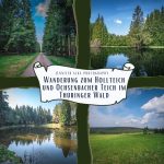 Dieses Bild zeigt 4 Einzelbilder von meiner Wanderung von Großbreitenbach zum Höllteich und Ochsenbacher Teich im Thüringer Wald. Bild 1 der Wanderweg durch den Thüringer Wald. Bild 2 der Ochsenbacher Teich. Bild 3 der Höllteich. Bild 4 der Wanderweg entlang am Rennsteig in Richtung Neustadt am Rennsteig.
