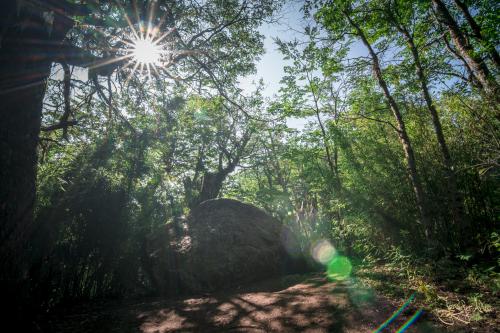 Bariloche: Trekking zum Refugio Frey und der Laguna Toncek
