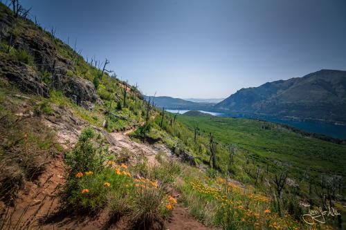 Bariloche: Trekking zum Refugio Frey und der Laguna Toncek