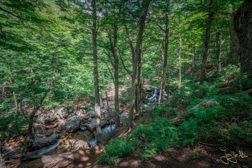 Trekk von Villa Catedral zum Refugio Frey und der Laguna Toncek - Bariloche / Argentinien.