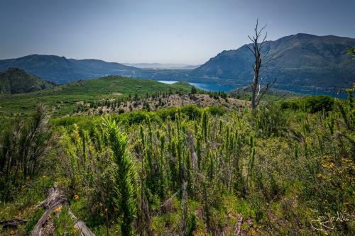 Bariloche: Trekking zum Refugio Frey und der Laguna Toncek