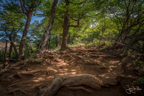 Wanderung zum Refugio Frey und der Laguna Toncek - Bariloche / Argentinien
