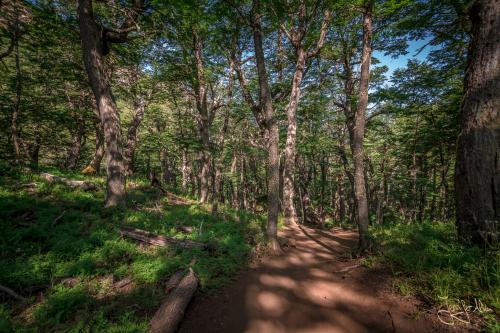 Bariloche: Trekking zum Refugio Frey und der Laguna Toncek