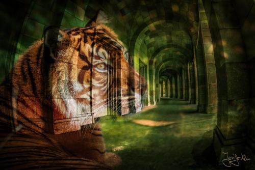 Doppelbelichtung aus einem Säulengang und einem Tiger