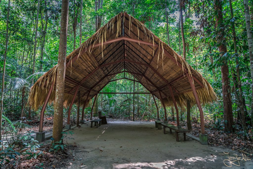 Museu da Amazônia (MUSA) – Das Amazonasmuseum in Manaus