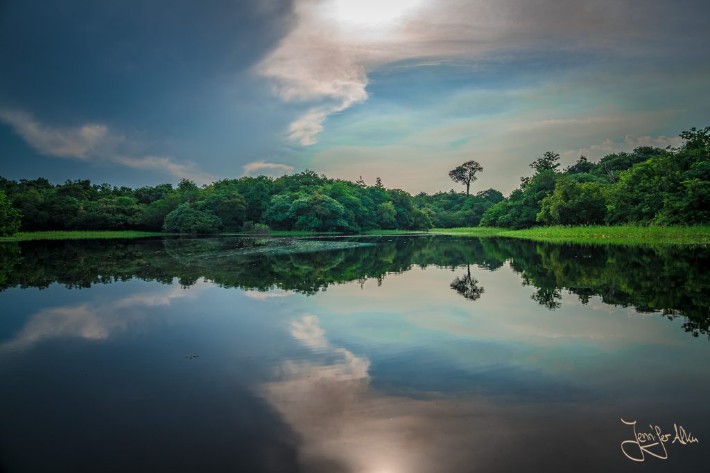 Tolle Spiegelung auf dem Amazonas