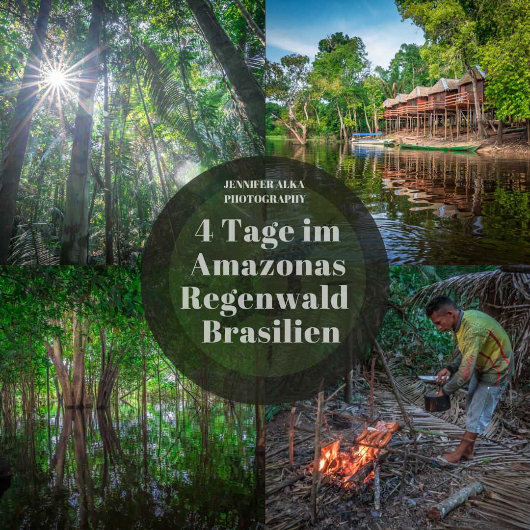 4 Tage im Amazonas Regenwald / Brasilien