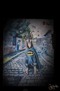 Hund im Batman-Kostüm - Beco do Batman in Sao Paulo / Brasilien