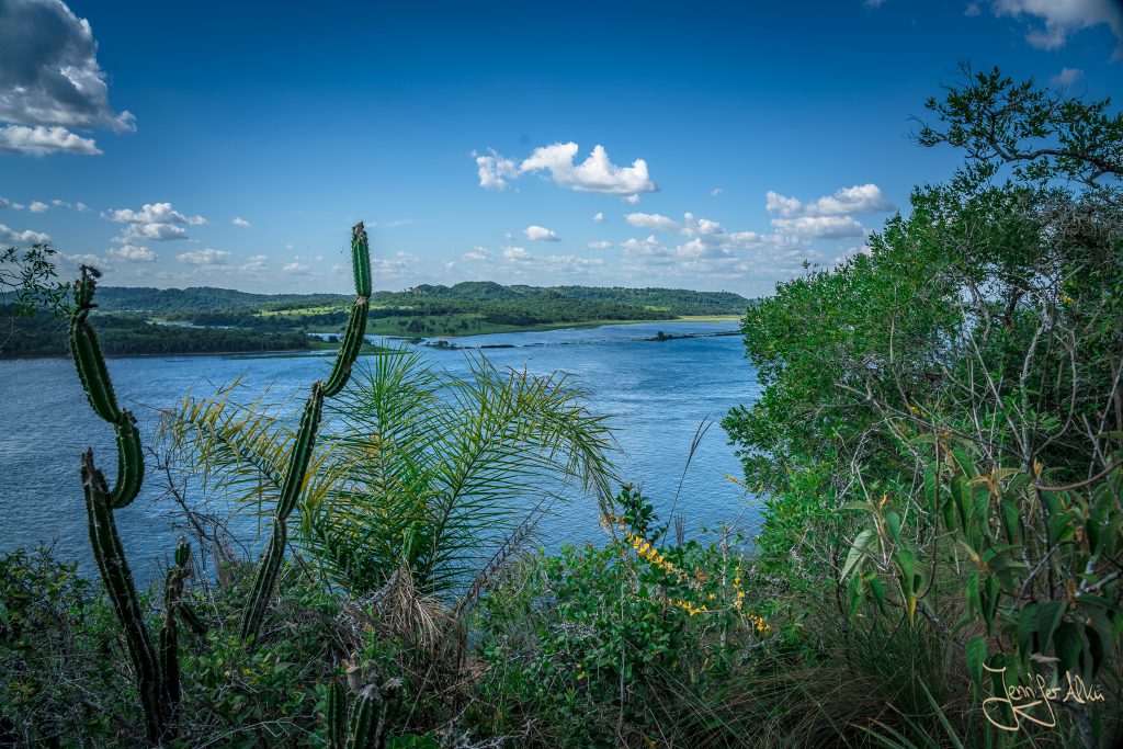 Aussicht vom Naturreservat Teyú Cuaré auf den Rio Parana.