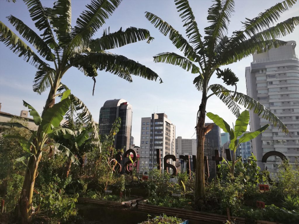 Mit exotischen Pflanzen begrüntes Dach auf dem São Paulo Cultural Center 