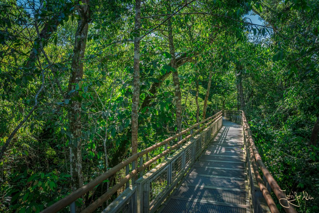 Wege durch den Nationalpark Iguazu