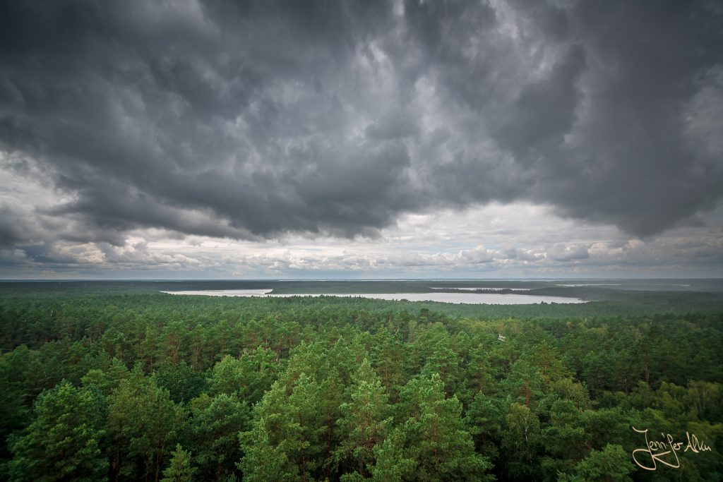 Gewitterwolken über dem Nationalpark Müritz - Aussicht vom Käflingsturm