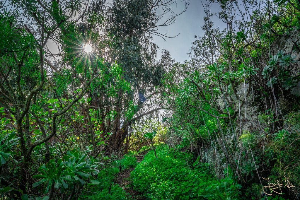 Ein Spaziergang durch den traumhaften Garten des Camino Art Hostel bei Vega de San Mateo