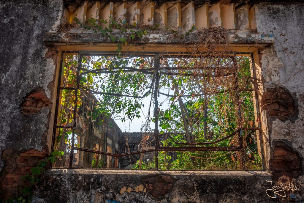 Ein Blick durch das Fenster auf das begrünte innere des verlassenen Ortes