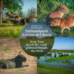 Nationalpark Esteros del Iberá in Argentinien – Jeep-Safari durch die zweitgrößten Sümpfe der Welt