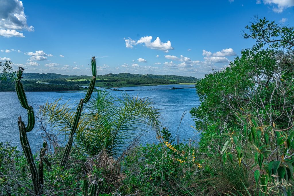 Dieses Bild zeigt die Aussicht im Parque provincial Teyú Cuaré