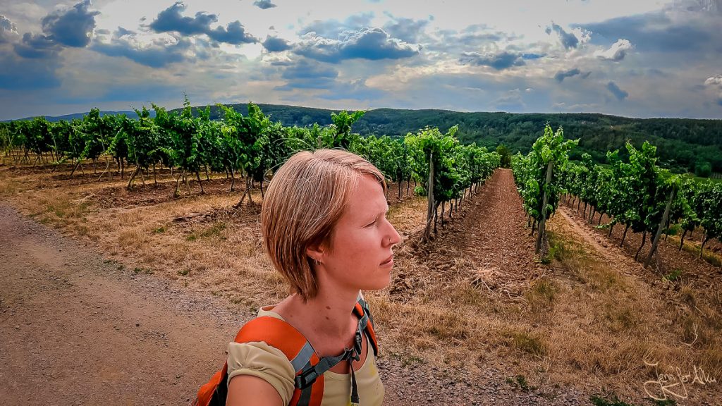 Dieses Bild zeigt Jennifer Alka beim Wandern durch die Weinfelder bei Bad Dürkheim