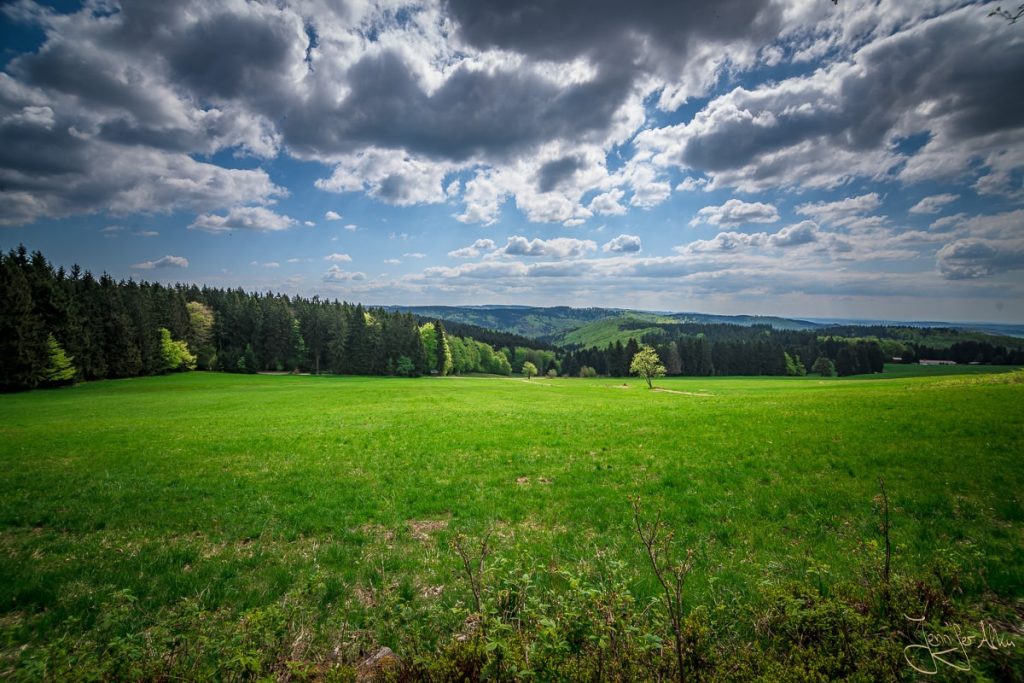 Dieses Bild zeigt die Aussicht am Stutenhaus im Thüringer Wald