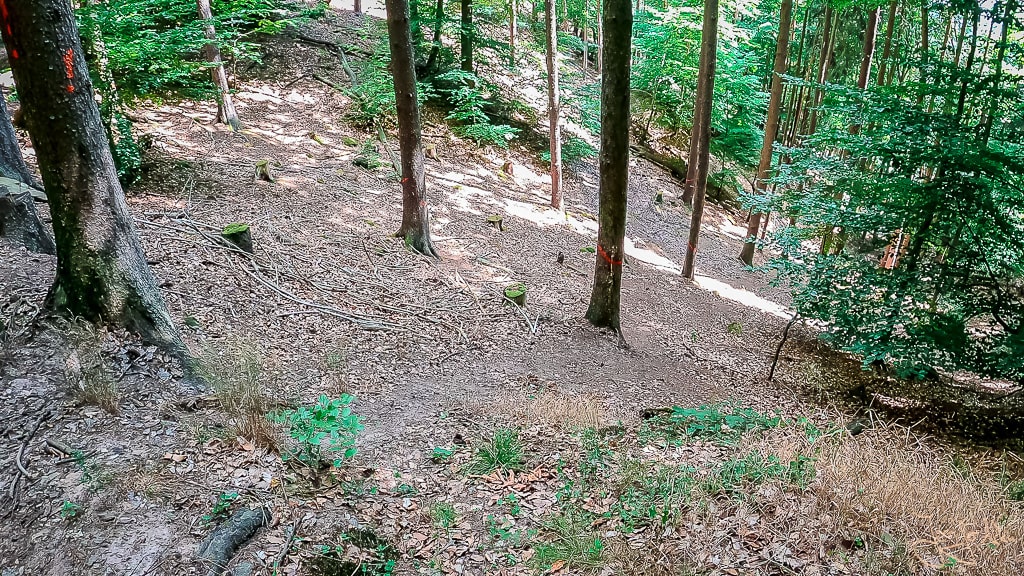 Dieses Bild zeigt den steilen Wanderweg hinab zur Ruine Hardenburg in der Pfalz