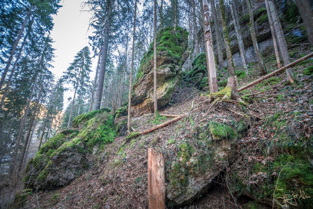 Dieses Bild zeigt den Weg von der Teufelshöhle zum Klumpertal in der Fränkischen Schweiz